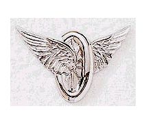 Blackinton Gold or Silver Motorcycle Wings